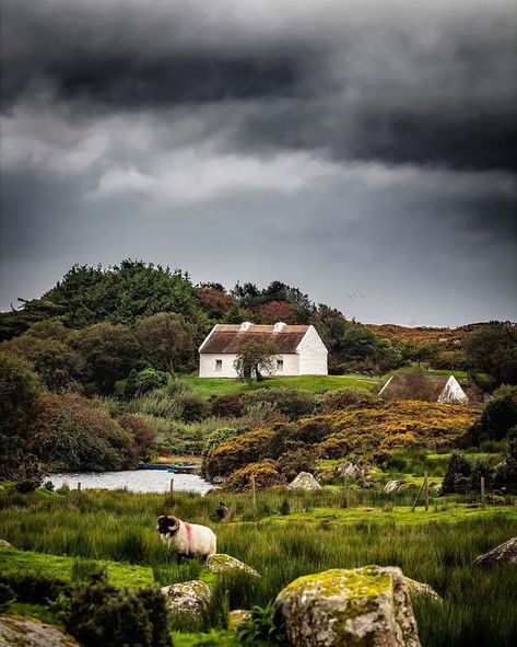 1916 Rising, Ireland Houses, Connemara Ireland, Best Of Ireland, Gloomy Weather, County Galway, Love Ireland, Irish Cottage, Cottage By The Sea