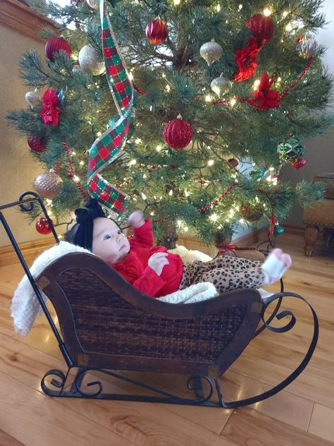 Dog Sleigh, Bed Photos, Christmas Sleigh, Sleigh Beds, Christmas Photoshoot, Santa Sleigh, Santa Baby, Newborn Photoshoot, Christmas Photo