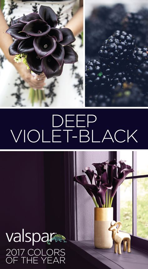 “A hidden undertone of violet draws you in, like the night sky. Powerful and meditative, deep purple-black creates drama without distraction.” Sue Kim, Valspar Color Strategist. One of 12 Valspar 2017 Colors of the Year: Black Currant VR089A at Ace.  https://www.askval.com/ColorsOfTheYearLanding/Deep-Violet-Black Dark Purple Paint Colors, Dark Purple Paint, Purple Paint Colors, Purple Bathrooms, Purple Bedroom, Drink Bar, Purple Paint, Purple Walls, Black Currant