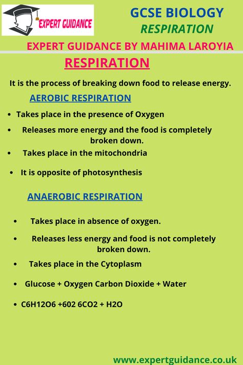 4.1 BIOENERGETIC Photosynthesis Factors affecting photosynthesis How plants use glucose Greenhouses Respiration Respiration In Plants Notes, Respiration In Plants, Gcse Biology, Bio Notes, Summary Notes, Animal Cells, Biology Revision, Plant And Animal Cells, Plant Notes