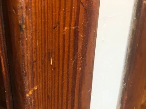 How To Restain Wood Trim, Restraining Wood Trim, Stained Molding Wood Trim, Refinishing Wood Trim, Refinish Wood Trim, Restaining Wood Trim, Old House Trim, Dark Stained Wood Trim, Old Wood Trim