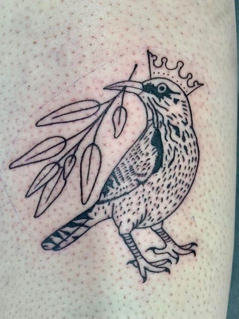 Small Wren Bird Tattoo, Cactus Wren Tattoo, Cactus Wren Drawing, Bird And Plant Tattoo, Cactus Wren, Tattoo Clothing, Leg Sleeves, Tattoo Models, Tattoo You