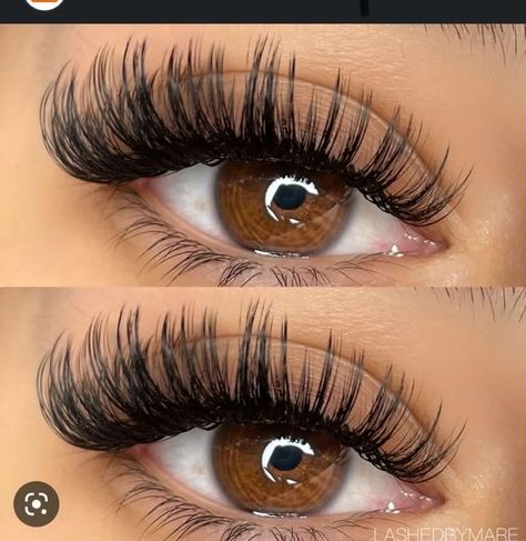 Lash Maps, Lash Trays, Lash Map, Natural Fake Eyelashes, Lashes Fake Eyelashes, Wispy Eyelashes, Wet Set, Cat Eye Lash, Eyelash Extensions Styles