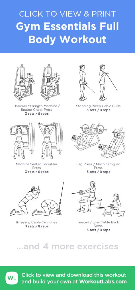 Gym Essentials Full Body Workout – click to view and print this illustrated exercise plan created with #WorkoutLabsFit Full Body Exercises Gym, Full Body Cable Workout, Full Body Cable Machine Workout, Full Body Gym Workout For Women, Weight Machine Workout, Gym Workouts Machines, Gym Items, Gym Routines, Workout Labs