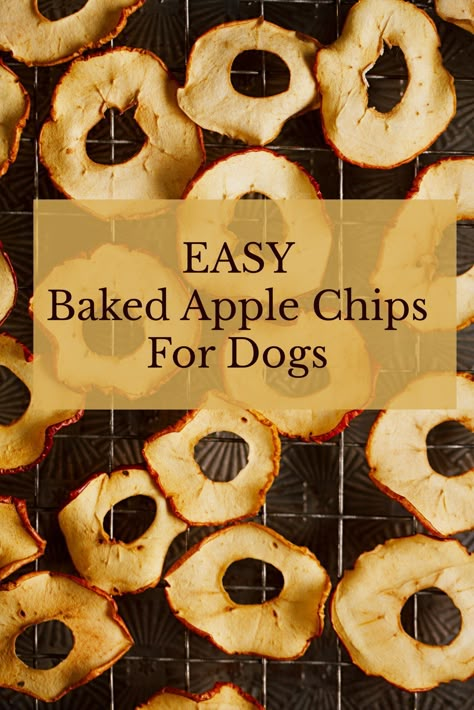 Dog Friendly Food Recipes, Apple Dog Treats Homemade, Diy Apples, Long Lasting Dog Treats Homemade, Apples For Dogs, Apple Dog Treats, Cinnamon Bake, Baked Apple Chips, Dog Treats Homemade