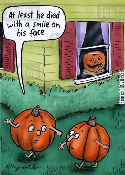 Pumpkin Humor, Quick Funny Jokes, Thanksgiving Jokes, Funny Cartoon Images, Creepy Movies, Creepy Toys, Halloween Jokes, Halloween Memes, Funny Cartoon Pictures