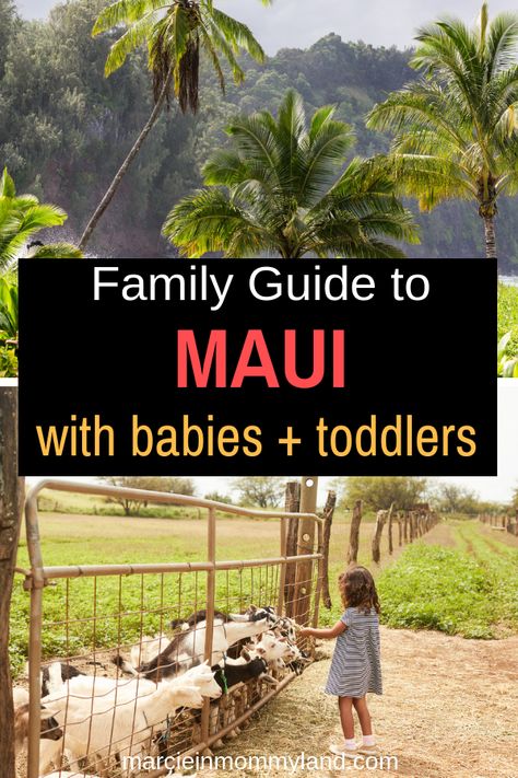 Best Maui Resorts, Maui With Kids, Resorts For Kids, Maui Activities, Maui Resorts, Hawaii Things To Do, Hawaii Travel Guide, Maui Beach, Trip To Maui