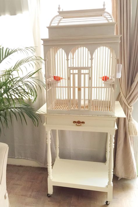 Vintage white wood birdcage. Sweet home for my couple red canaries :) Bird Cage Ideas, Canary Cage, Diy Bird Cage, Bird Cage Design, Antique Bird Cages, Pet Bird Cage, Canary Birds, Bird Aviary, Bird Cage Decor