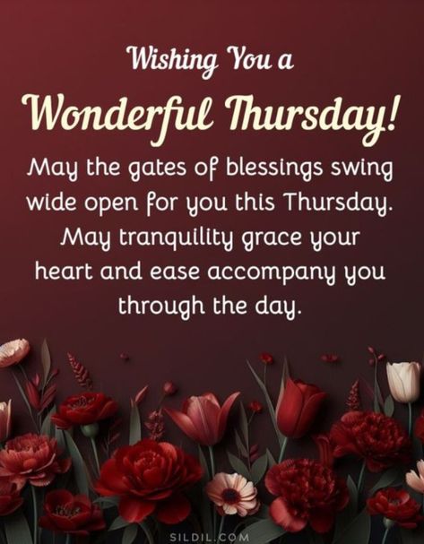 Thursday Morning Blessings, Thursday Wishes, Good Morning Saturday Wishes, Thursday Blessings, Morning Thursday, God Blessings, Happy Thursday Quotes, Good Morning Thursday, Good Morning Saturday