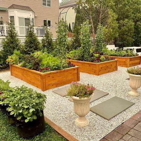 Raised Planter Around Tree, Raised Garden Bed With Fire Pit, Raised Garden Beds With Stone, Formal Raised Garden Beds, Raised Flower Beds On Gravel, Diy Raised Garden Bed, Raised Garden Beds Gravel, Raised Garden Beds With Pebbles, Boxwood Garden