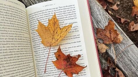 DIY maple leaves 🍁 #diy#diymapleleaf #paperleaf Light Brown Aesthetic, Wedding Locket, Studera Motivation, Shades Of Maroon, Spooky Candles, Weeping Willow, Elegant Centerpieces, Elegant Fall, Fall Centerpiece