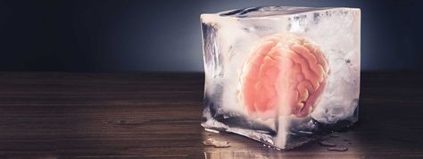 Body temperature reflects more than the weather outside. According to a new study, our temperature may be able to improve the recovery of people with brain damage.  https://www.chronobiology.com/body-temperature-related-level-unconsciousness-brain-damaged/ Brain Tissue, Brain Freeze, Brain Damage, Human Brain, Migraine, Health And Wellbeing, Headache, Brain, Frozen