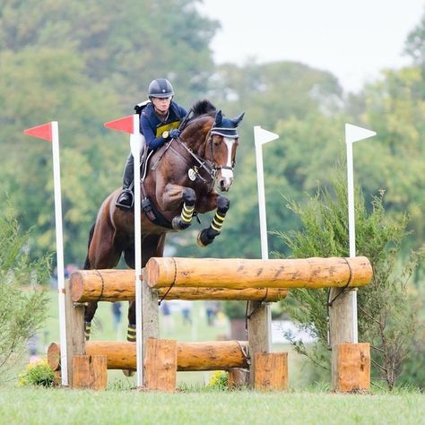 Eventing Cross Country, Horse Riding Attire, Horses Jumping, Cross Country Jumps, Show Jumping Horses, Equestrian Aesthetic, Eventing Horses, Horse Aesthetic, Horse Equestrian