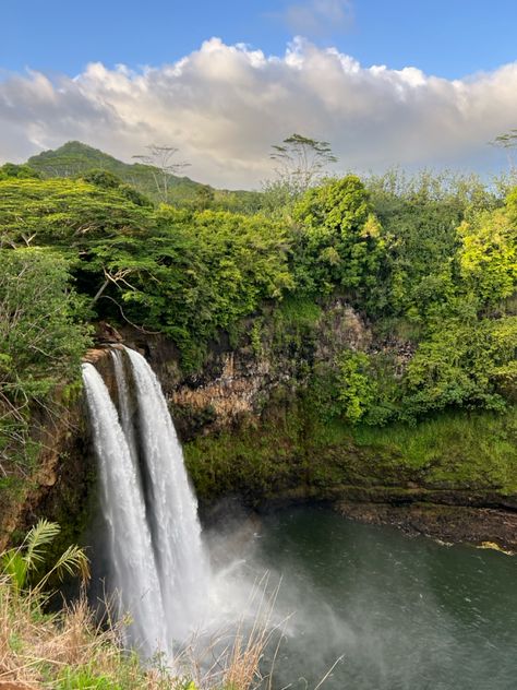 Beautiful waterfall in Kauai! #kauai #hike #hawaii #adventure Turtle Bay Hawaii, Poipu Kauai Hawaii, Chasing Mavericks, Swimming Benefits, Kauai Island, Hawaii Kauai, Napali Coast, Turtle Bay, Hawaii Life