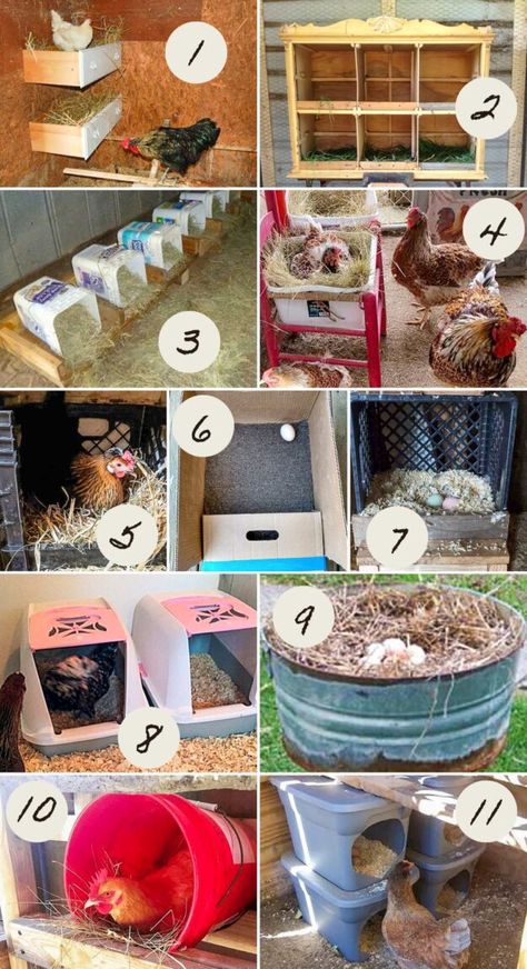 Chicken nest boxes don't have to be expensive ...try these easy and inexpensive DIY nest boxes that can be put in place in minutes. Chicken Coop Roosting Boxes, Duck Roosting Boxes, Diy Chicken Nest Box Ideas, Chickens Nesting Boxes, Chicken Coop Boxes Diy, Diy Chicken Roosting Boxes, Chicken Nest Ideas, Quick Easy Chicken Coop Diy, Nest Box Ideas For Chickens