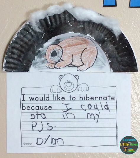 Hibernation Kindergarten, Hibernation Preschool Crafts, Hibernation Preschool Activities, Hibernation Crafts, Animal Sorting, Hibernation Preschool, Hibernation Activities, Craft Games, January Kindergarten