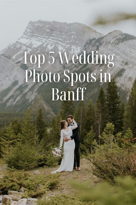 5 Popular Locations in Banff for Wedding Photos Banff Wedding Photos, Banff Elopement, Vermillion Lakes, Banff Wedding, Forest Path, Elopement Ideas, Banff National Park, Calm Water, Popular Wedding