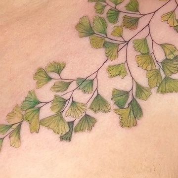 Avacyn on Instagram: "Maidenhair fern wrap for a Botanist and really sweet person! Thank you Britney! Done in 1.5 sessions #botanyart #botanicaltattoos #tattooistartmagazine #stltattoo #maidenhairfern #colortattooartist #colorrealismtattoo #tattoostagram #stlouistattoos #delicatetattoo #stlgram" Maidenhair Fern Tattoo, Lady Persephone, Maiden Hair, Sweet Person, Maidenhair Tree, Grandma Ideas, Fern Tattoo, Maidenhair Fern, Plant Tattoo