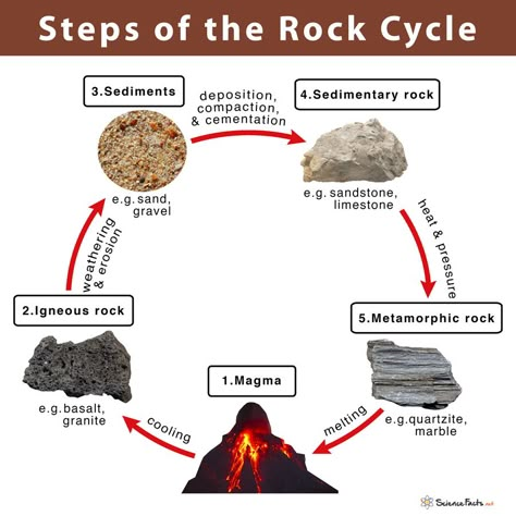 Rock Cycle Diagram, Different Types Of Rocks, Cycle Drawing, Earth Science Lessons, Weathering And Erosion, Classroom Science, Rock Cycle, Study Flashcards, Geography Lessons