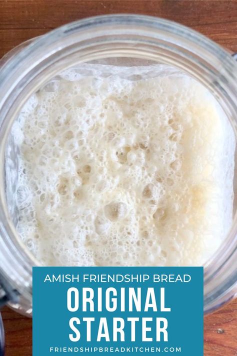 Amish Bread Starter, Bread Starters, Amish Bread Recipes, Amish Friendship Bread Starter Recipes, Starter Sourdough, Friendship Bread Recipe, Friendship Bread Starter, Brownies Cake, Amish Bread