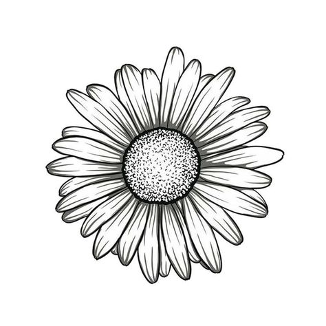 Sun Flower Tattoo Stencil, Sunflower Tattoo Design Simple, Daisy Sketch Simple, Margarita Tattoo Design, Daisy Tattoo Stencil, Flower Sketch Pencil, Beginner Tattoos, Flower Tattoo Drawings, Colorful Borders Design