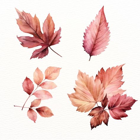 26 Dusty Pink Leaves Clipart, for Autumn Floral Frames, Botanical Leaf Elements in Blush and Pastel Rose, Fall Wedding Invitation https://digitalduskyrose.etsy.com/listing/1722056224 🔗 Explore More: For more design inspiration, explore our other Autumn & Halloween collections here: https://www.etsy.com/uk/shop/DigitalDuskyRose?section_id=44386565 Rose Fall Wedding, Leaves Clipart, Foto Collage, Floral Frames, Baby Rosa, Leaf Clipart, Pastel Roses, Fall Wedding Invitations, Autumn Halloween