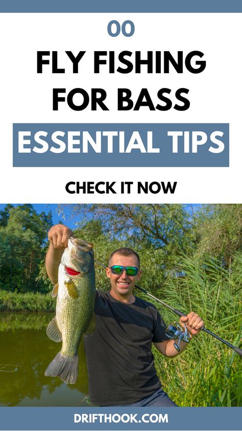 Bass Fly Fishing offer anglers many benefits that may not be known to everyone, such as incredible top-water action, massive fish, and intense fights. Below there's an informative article about how to catch a bass on a fly every time successfully. #flyfishingbass #bassfishing #flyfishingtps #bass #fishing #flyfishing Ice Fishing Tips, Fishing 101, Fishing For Beginners, Fly Fishing Tips, Bass Fishing Lures, Bass Fishing Tips, Fly Fishing Gear, Pike Fishing, Fishing Techniques