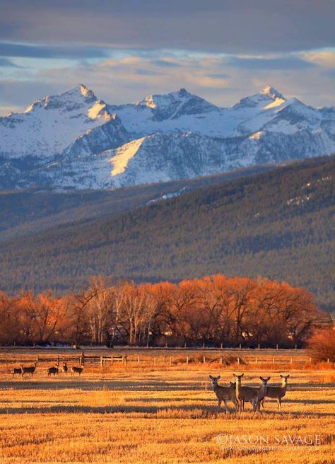 Como Peaks Montana Landscape, Montana Mountains, Big Sky Montana, Into The West, Big Sky Country, Autumn Scenery, National Parks Trip, Mountain Scene, Glacier National