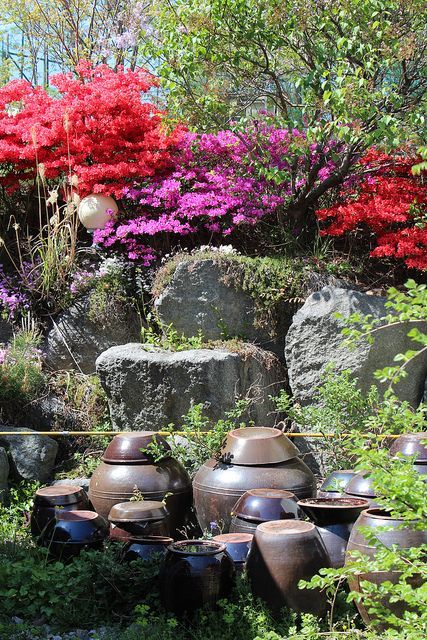 Korean Table, Korean Garden, Big Pots, Asian Garden, Green Architecture, Garden Backyard, The Secret Garden, Garden Pictures, Gorgeous Gardens