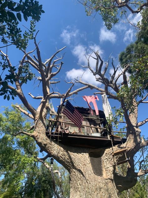 cute treehouse aesthetic disney treehouse cottagecore Aesthetic Treehouse, Treehouse Aesthetic, Backyard Tree House Aesthetic, Cottagecore Treehouse, Forest Tree House Aesthetic, Kids Tree House Aesthetic, Treehouse Aesthetic Inside, Old Treehouse Aesthetic, Dead Dog