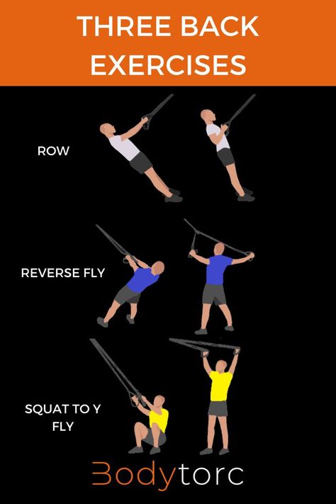 These are three of the best back exercises using a suspension trainer. They will build muscle and strengthen the areas that help pull your shoulders back to keep you with good posture. #backexercises #posture #workouttips #fitness #homegym Trx Workouts For Women, Best Back Exercises, Good Back Workouts, Suspension Trainer, Trx Workouts, Good Posture, Improve Posture, Back Exercises, Trx