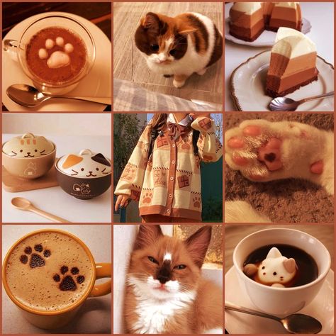 Future Moodboard, Adopt Idea, Mood Board Inspiration, Mood Board Design, Aesthetic Images, Aesthetic Collage, Warrior Cats, Color Pallets, Lps