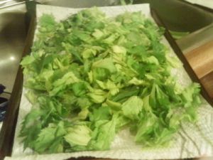 Dry Your Own Celery Leaves | ThriftyFun Drying Celery, How To Store Celery, Celery Leaves, Fresh Vegetable Recipes, Drying Fresh Herbs, Freezing Vegetables, Celery Recipes, Home Canning Recipes, Winter Cooking