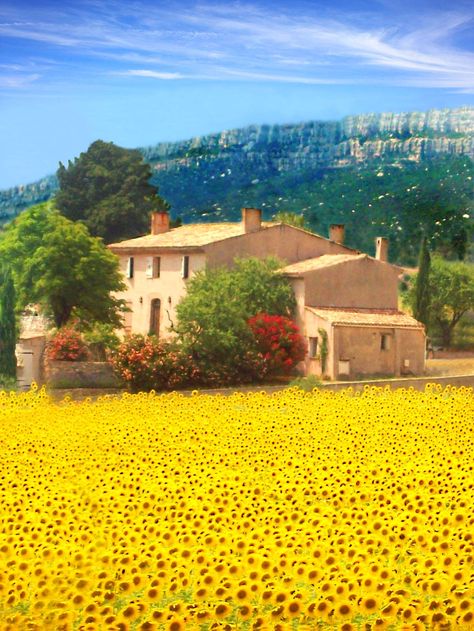 St Maxime-France Sunflower Field, Provence France, Sunflower Fields, French Countryside, Pretty Places, France Travel, Places Around The World, Beautiful World, Beautiful Landscapes