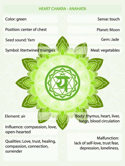 Green Chakra Meaning - The Heart Chakra Color Explained • Colors Explained Chakra Meaning, Purple Chakra, Red Chakra, 2024 Colors, Chakra Meanings, Green Chakra, Chakra Tattoo, The Heart Chakra, Sanskrit Names