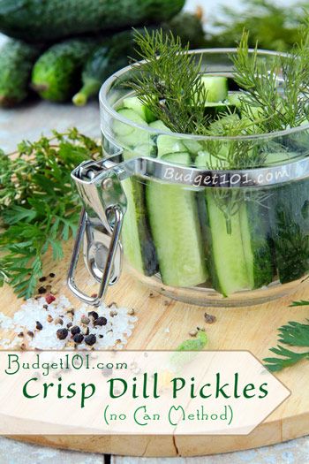 Overnight Pickles, Crispy Pickles, Easy Pickles, Garlic Dill Pickles, Indian Masala, Best Pickles, Fermented Veggies, Split Peas, Canning Recipe