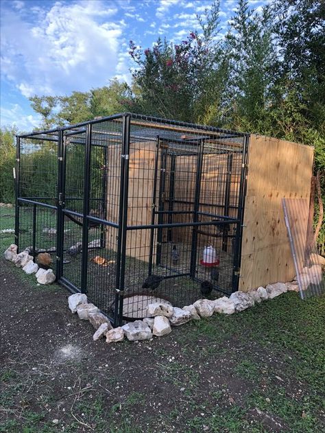 Dog Kennel Chicken Coop, Kennel Chicken Coop, Outdoor Dog Area, Chicken Coop Garden, Duck Coop, Backyard Chicken Coop Plans, Diy Chicken Coop Plans, Wildlife Rehabilitation, Backyard Chicken Farming