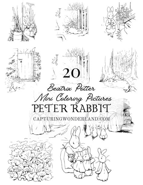 Wonderland Subscriber Library How To Draw Beatrix Potter Characters, Peter Rabbit Drawing Easy, Peter Rabbit Coloring Pages, Learning Watercolor, Rabbit Coloring Pages, Peter Rabbit Illustration, Rabbit Coloring, Rabbit Watercolor, Beatrix Potter Illustrations