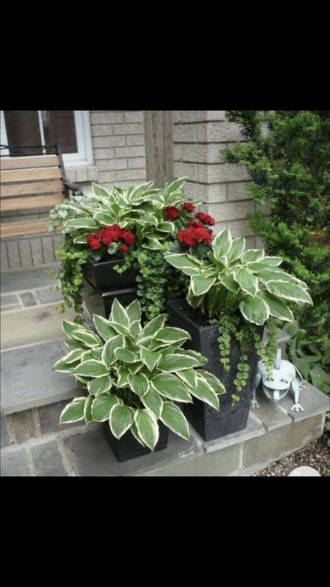 Landscape Ideas, Front Porch, Flower Pots, Porch, Plants, Flowers