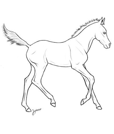 Free foal lineart by jiphorse on DeviantArt Horse Outline, Horse Art Drawing, Lion King Drawings, Line Art Images, Horse Sketch, Horse Coloring Pages, Adult Colouring Pages, Horse Logo, Horse Drawing