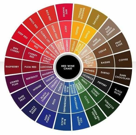 Colour Wheel Theory, Wine Chart, Color Wheel Art, Wine Tasting Notes, Color Theory Art, Color Knowledge, Wine Colour, Wine Knowledge, Color Mixing Chart