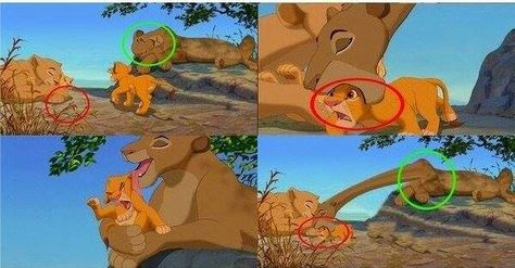 Disney lion king mistake. Lion King Meme, Lion King Funny, Disney Humor, Humor Disney, King Picture, Lion King Drawings, Lion King Fan Art, Il Re Leone, Lion King Art