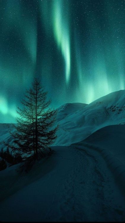 Norway Wallpaper, Northern Lights Wallpaper, Northern Lights Photo, Northern Lights Photography, Northern Lights (aurora Borealis), Aurora Borealis Northern Lights, Pretty Landscapes, The Aurora, Landscape Wallpaper