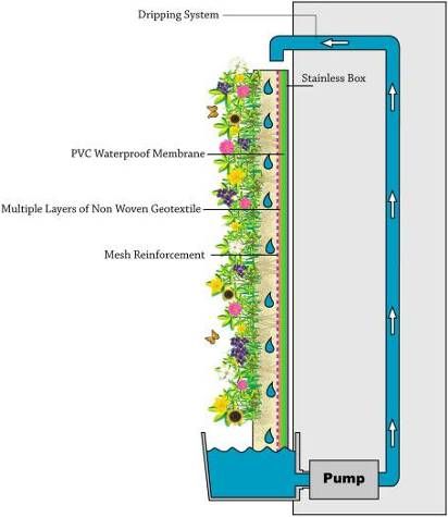 Taman Air, Modern Roofing, Green Facade, Vertical Garden Wall, Garden Vines, Vertical Gardens, Walled Garden, Green Walls, Green Architecture