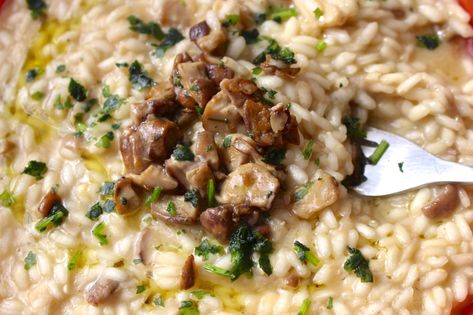 Mushrooms Risotto, Vegetarian Risotto, Risotto Milanese, Porcini Mushroom, Risotto Dishes, Tagliatelle Pasta, Mushroom Risotto Recipes, North Italy, Italian Recipe