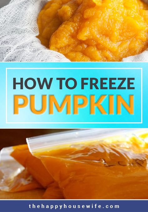 Can You Freeze Pumpkin Puree, Can You Freeze Pumpkin, Freezing Pumpkin, Meat And Potatoes Recipes, Pumpkin Puree Recipes, Frozen Pumpkin, Cooking Pumpkin, Dinner On A Budget, Homemade Pumpkin Puree