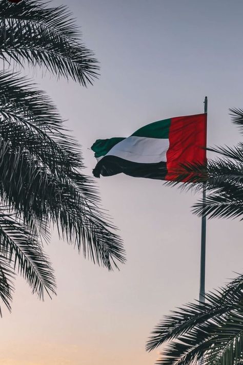 Uae Culture Aesthetic, Dubai Flag Wallpaper, Uae Flag Wallpaper, United Arab Emirates Aesthetic, Emirati Aesthetic, Uae Wallpaper, Uae Flag Aesthetic, Dubai Flag, Uae Aesthetic