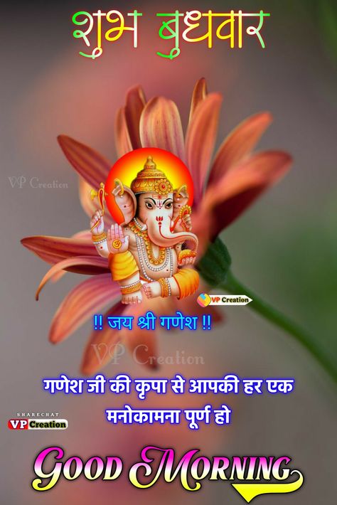 Gm Wednesday, Wednesday Morning Images, Wednesday Morning Greetings, Happy Wednesday Images, Good Morning Poems, Wednesday Wishes, Morning Images In Hindi, Happy Good Morning Images, Good Morning Wednesday