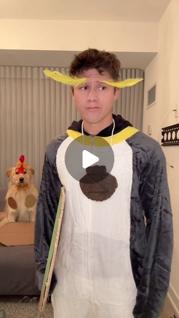 Cody Maverick, Chicken Joe, Castle Home, Halloween Inspo, Dog Costume, Surfs Up, Halloween Costumes, Castle, Geek Stuff