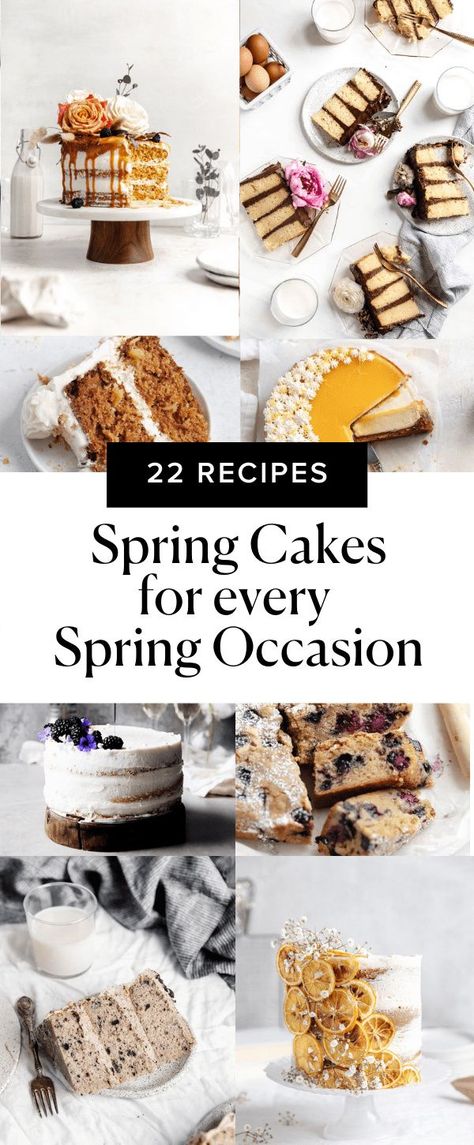 Looking for the perfect spring cakes to celebrate Easter, Mother’s Day, or any of your other spring occasions? Step into my office. I present to you every single spring cake recipe you’ll ever need this season. Easter Cake Flavors, Spring Cakes Recipes, Southern Caramel Cake, Spring Time Desserts, Spring Recipes Dessert, Broma Bakery, Spring Baking, Birthday Cake Flavors, Garden Cakes